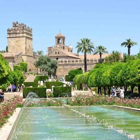 Apartamento Con Jardin Y Piscina En Córdova Exterior foto