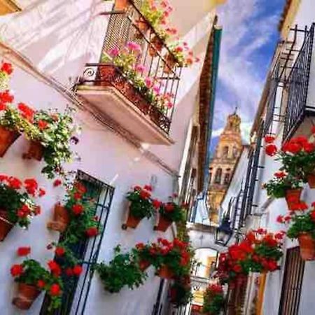 Apartamento Con Jardin Y Piscina En Córdova Exterior foto
