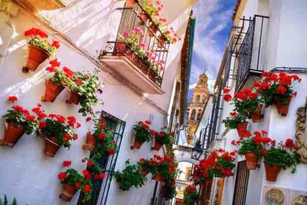 Apartamento Con Jardin Y Piscina En Córdova Exterior foto