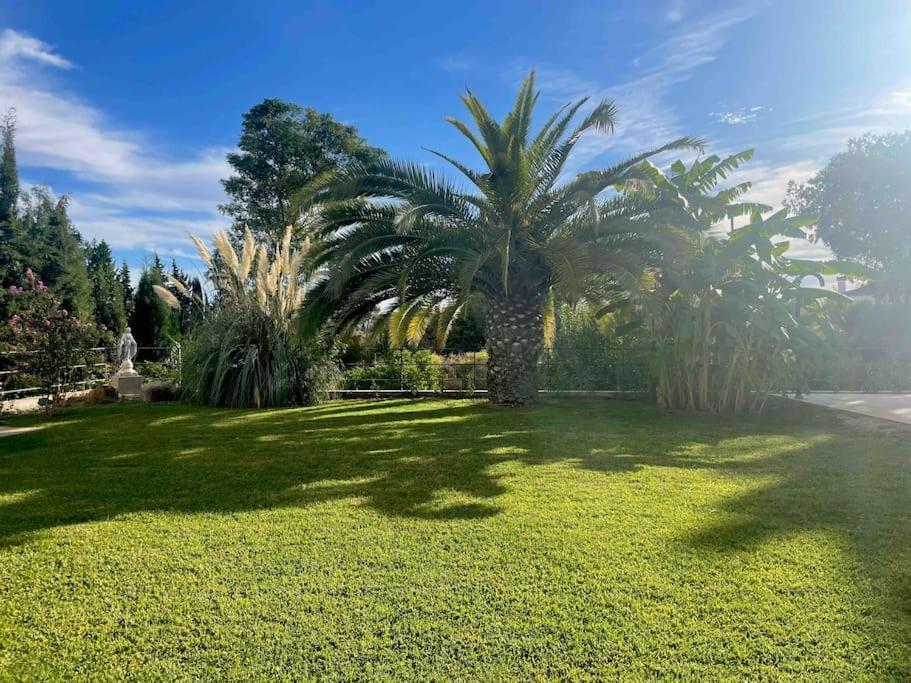 Apartamento Con Jardin Y Piscina En Córdova Exterior foto